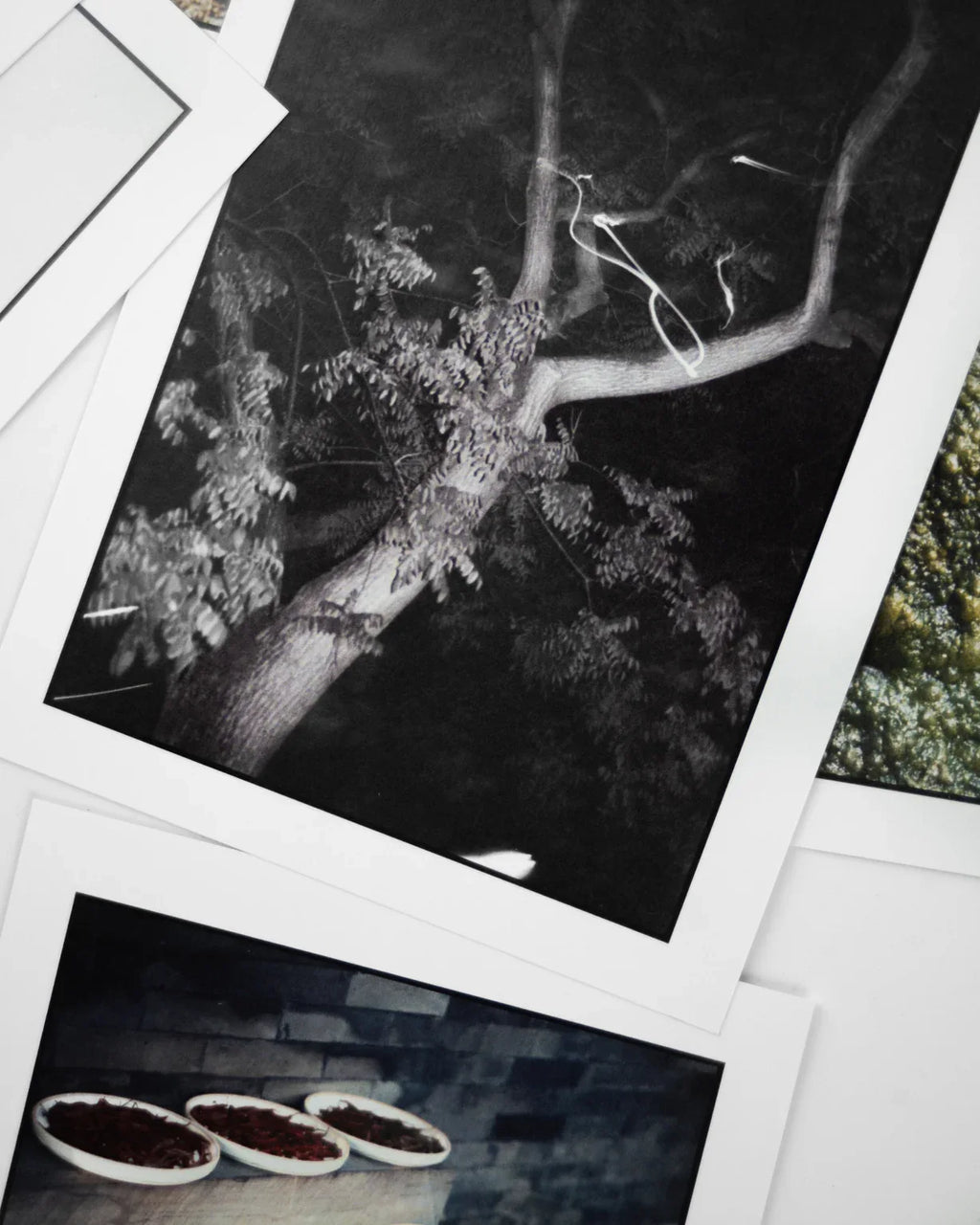 Postcards from Berlin Photo Studio - Photo Studio Berlin