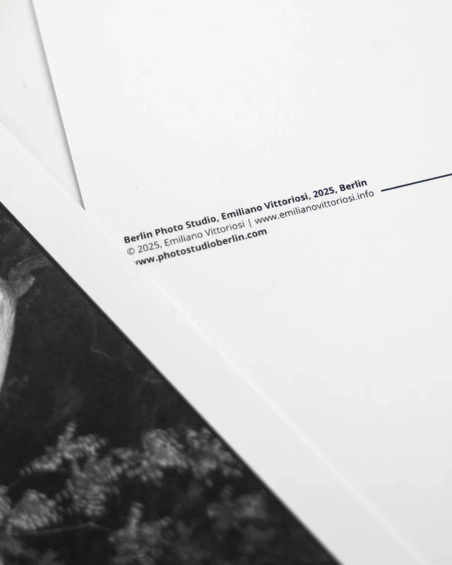 Postcards from Berlin Photo Studio - Photo Studio Berlin