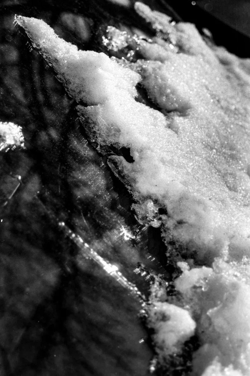 BW – Sburro 6400 ISO – 135/36 - Photo Studio Berlin